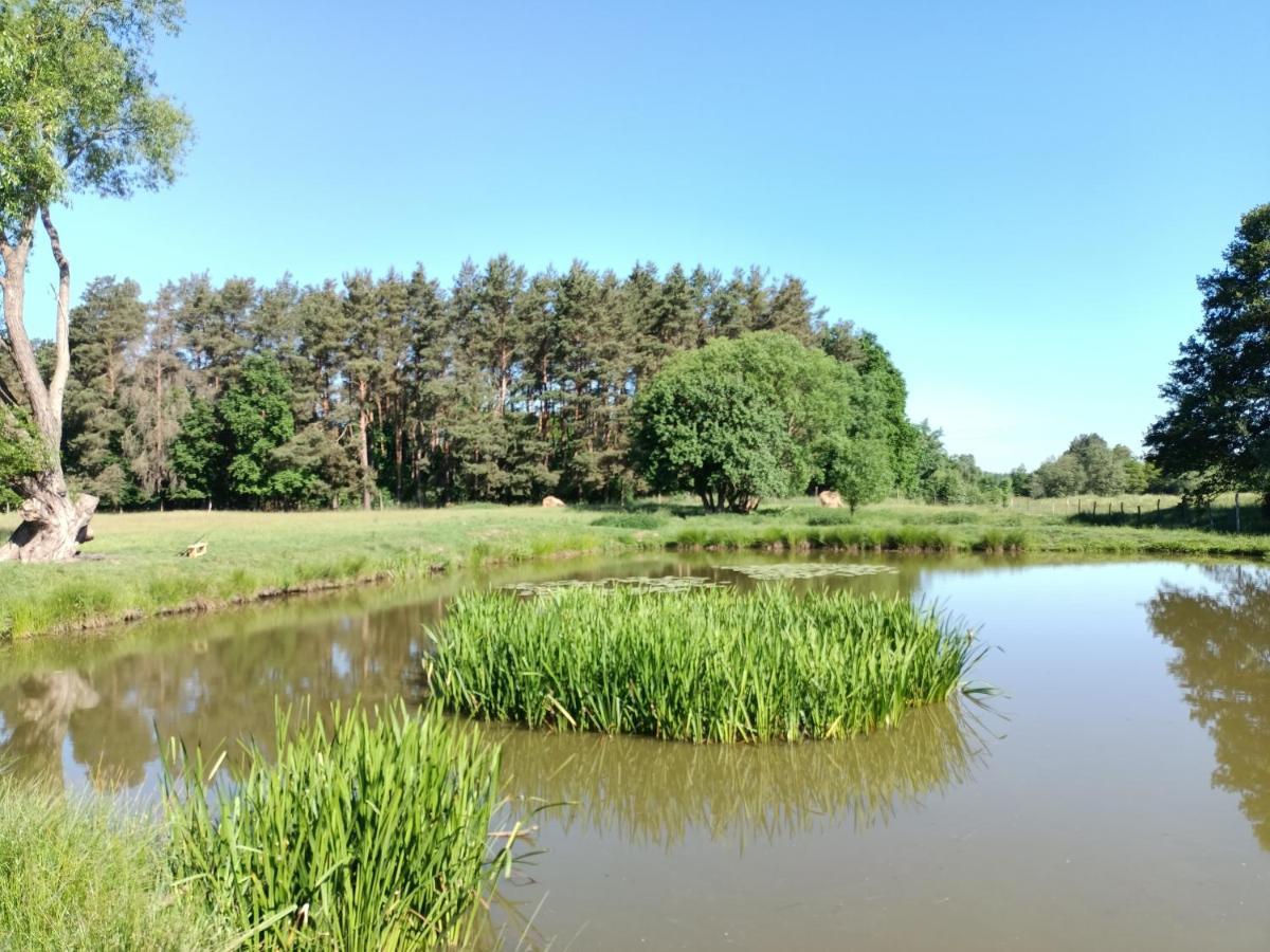 Smocze Ranczo 2 Villa Ośno Lubuskie Exteriör bild