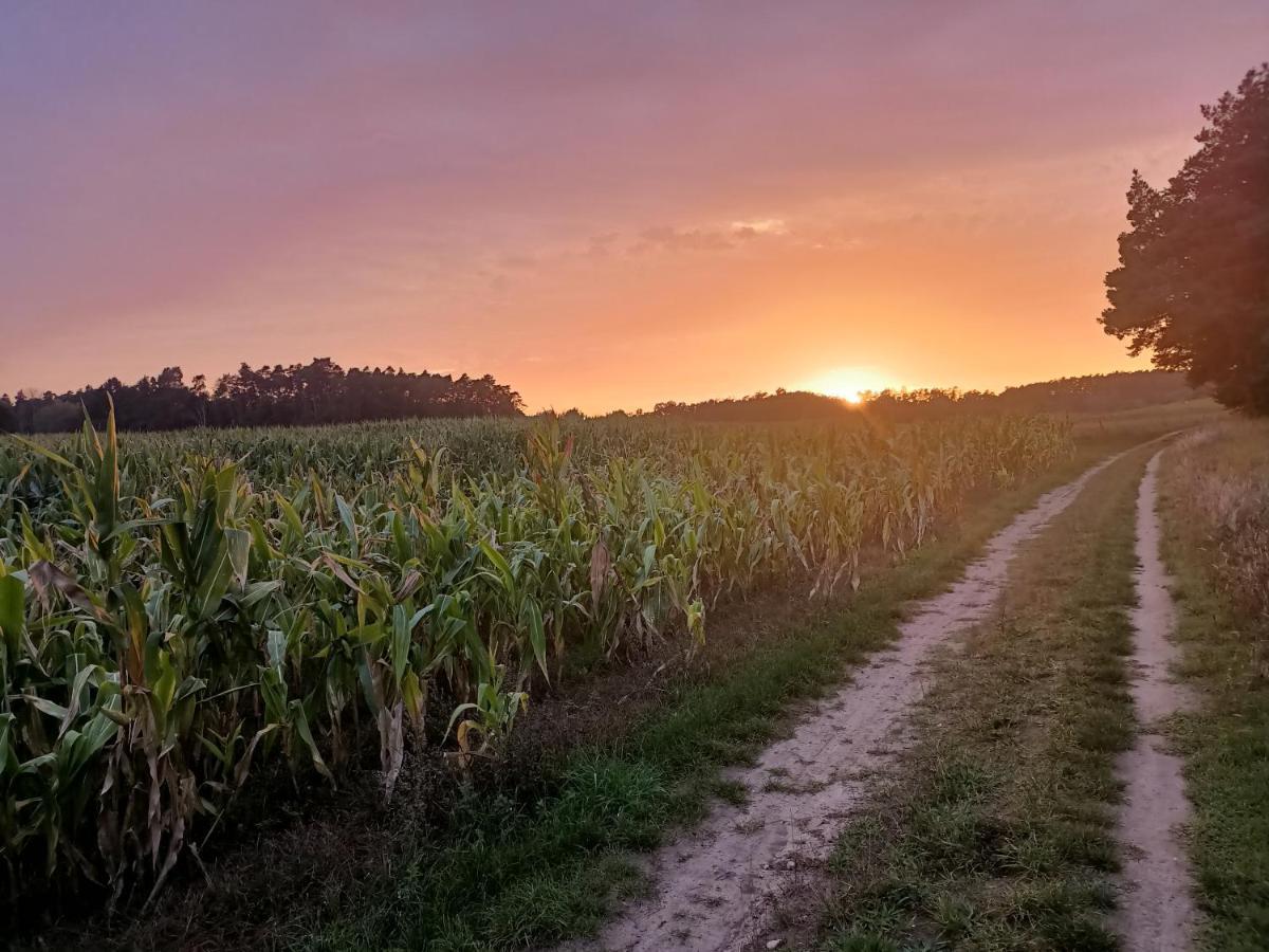 Smocze Ranczo 2 Villa Ośno Lubuskie Exteriör bild