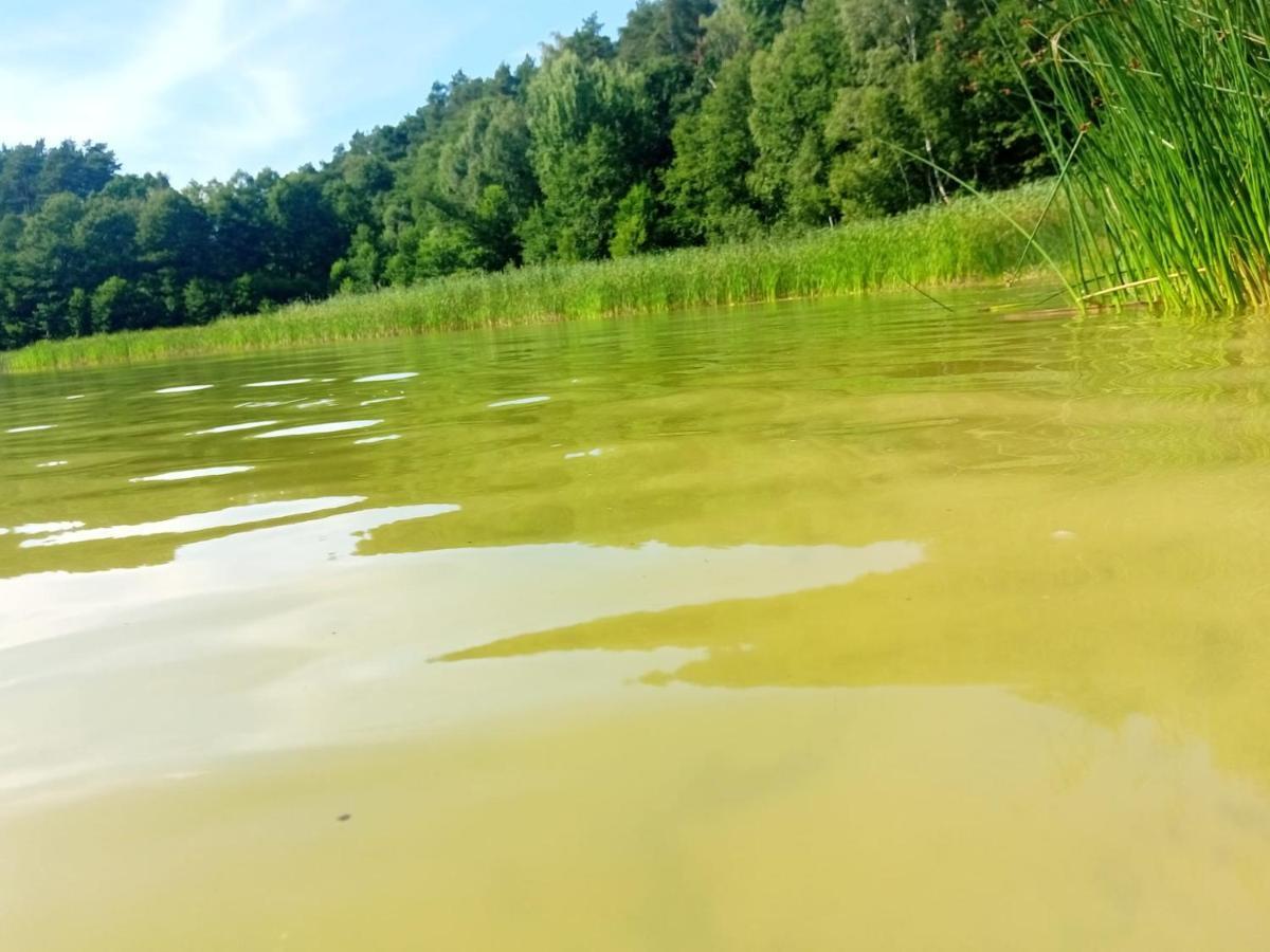 Smocze Ranczo 2 Villa Ośno Lubuskie Exteriör bild